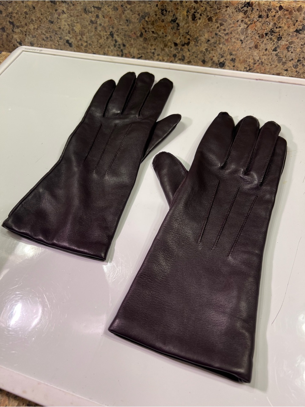 Coach Brown Leather & Cashmere Womens Gloves Size 8 NWOT 8” Long & 8” Wide India